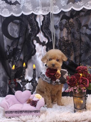 20231019ノアちゃん